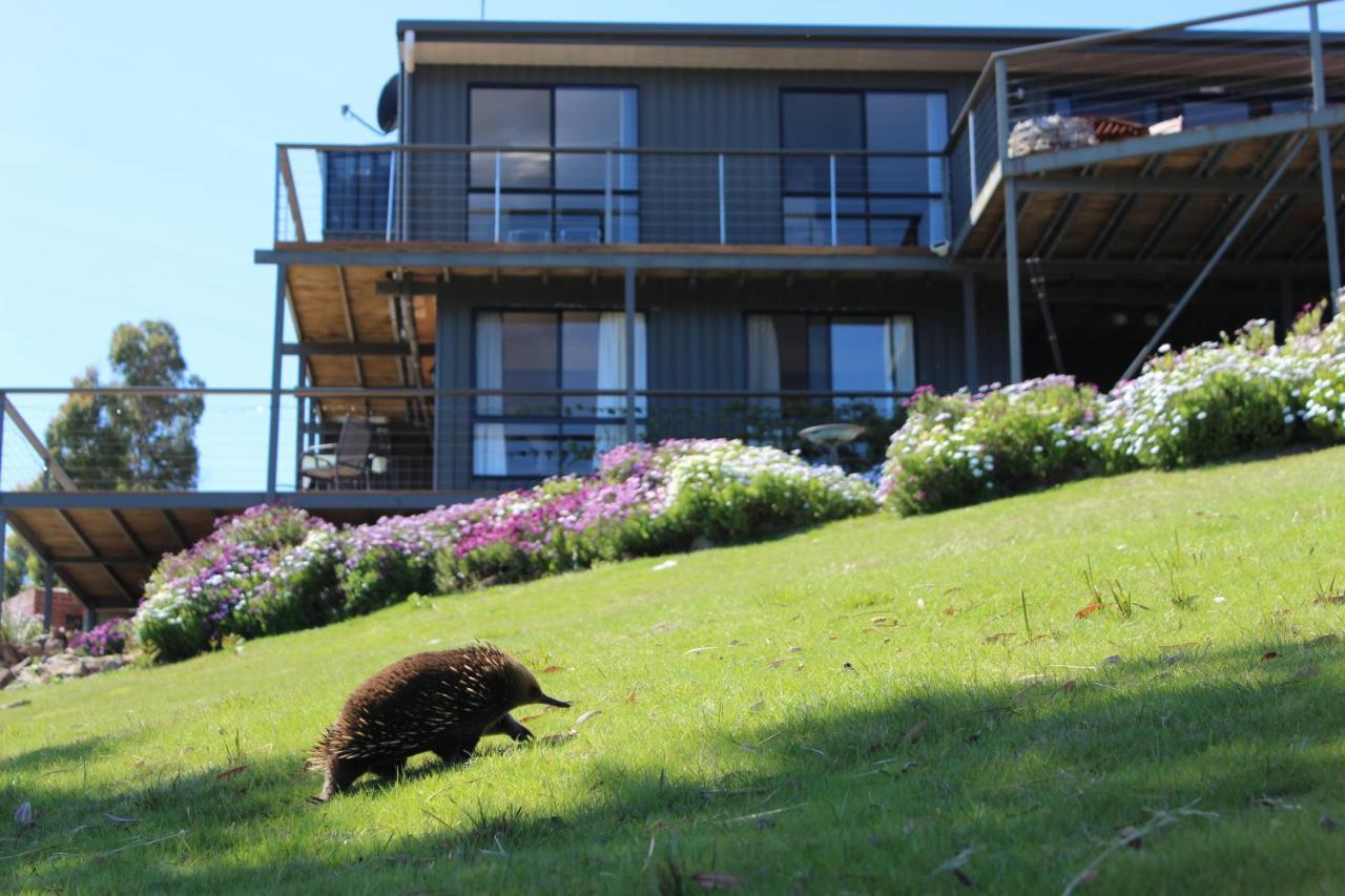 สตอร์ม เบย์ บี แอนด์ บี Bed & Breakfast White Beach ภายนอก รูปภาพ